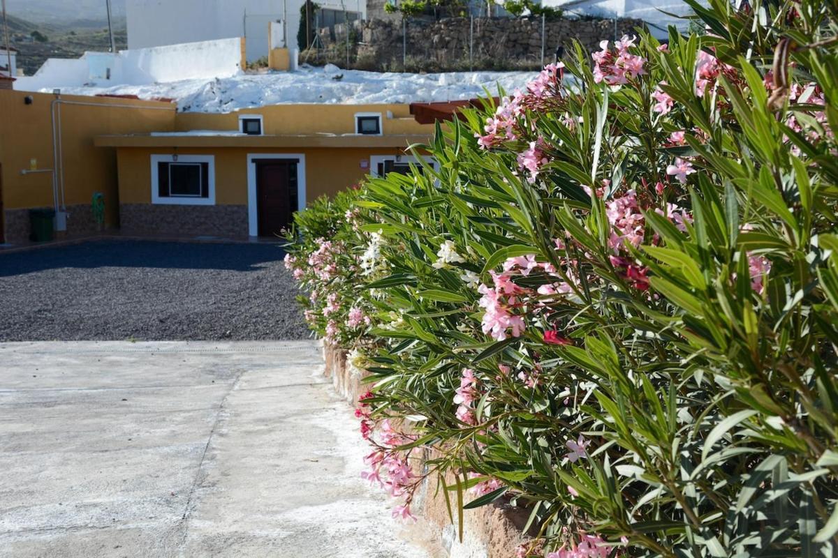 Casa Cueva Los Mansos Santa Cruz de Tenerife Ngoại thất bức ảnh